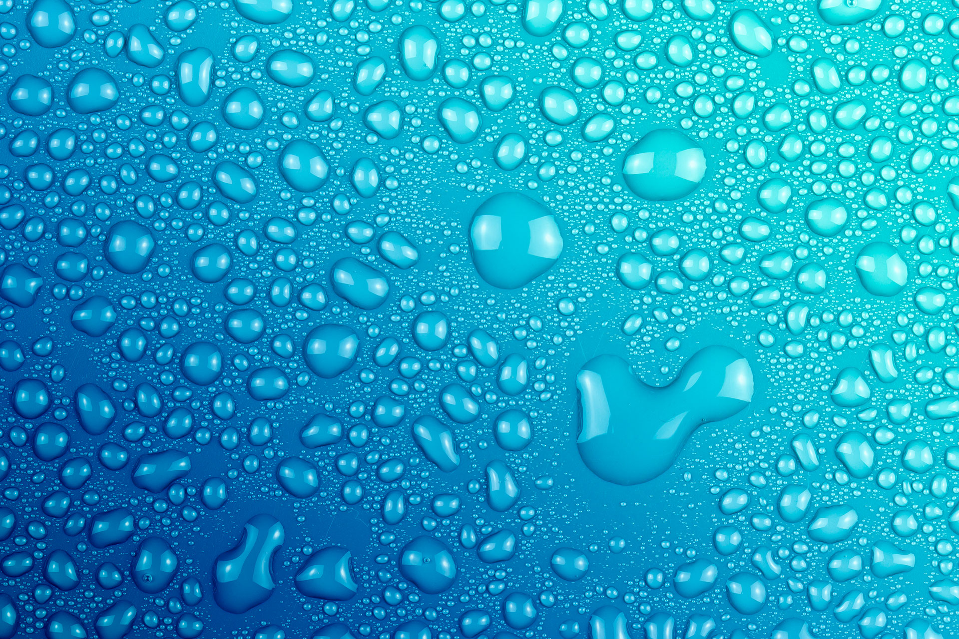 Projects Background