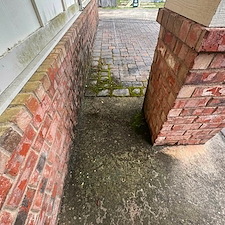 Algae-covered-brick-and-tire-mark-driveway-in-Fort-WaltonFL 11