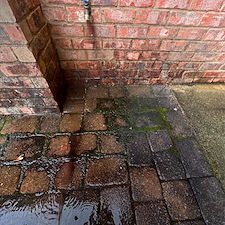 Algae-covered-brick-and-tire-mark-driveway-in-Fort-WaltonFL 7