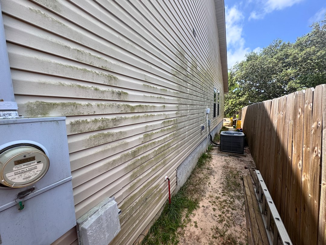 Algae Removal from vinyl siding